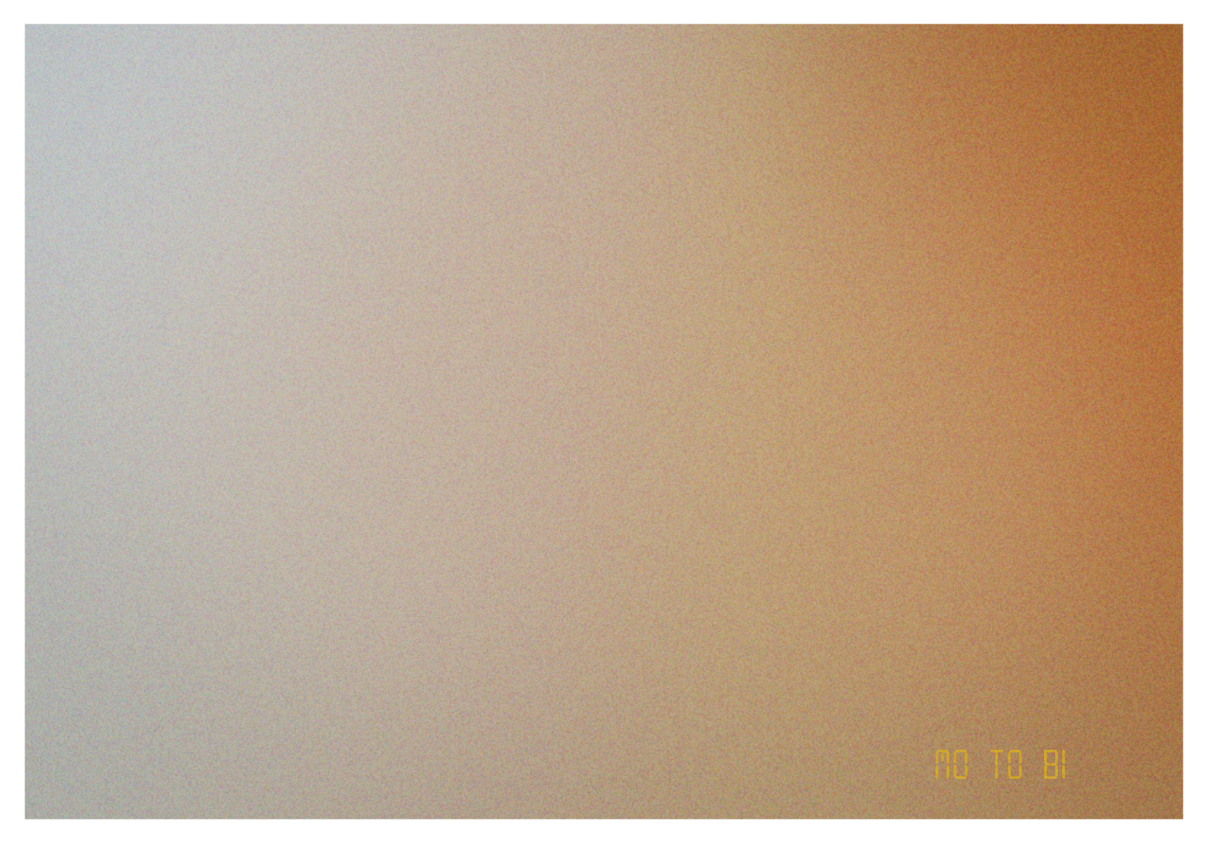 犬夜叉が撮った写真