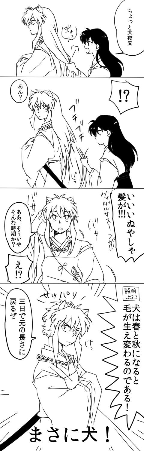 grp0507014144.png 480��1500 102K